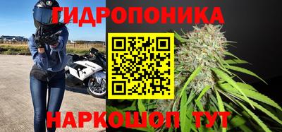 молекула духа Гусев