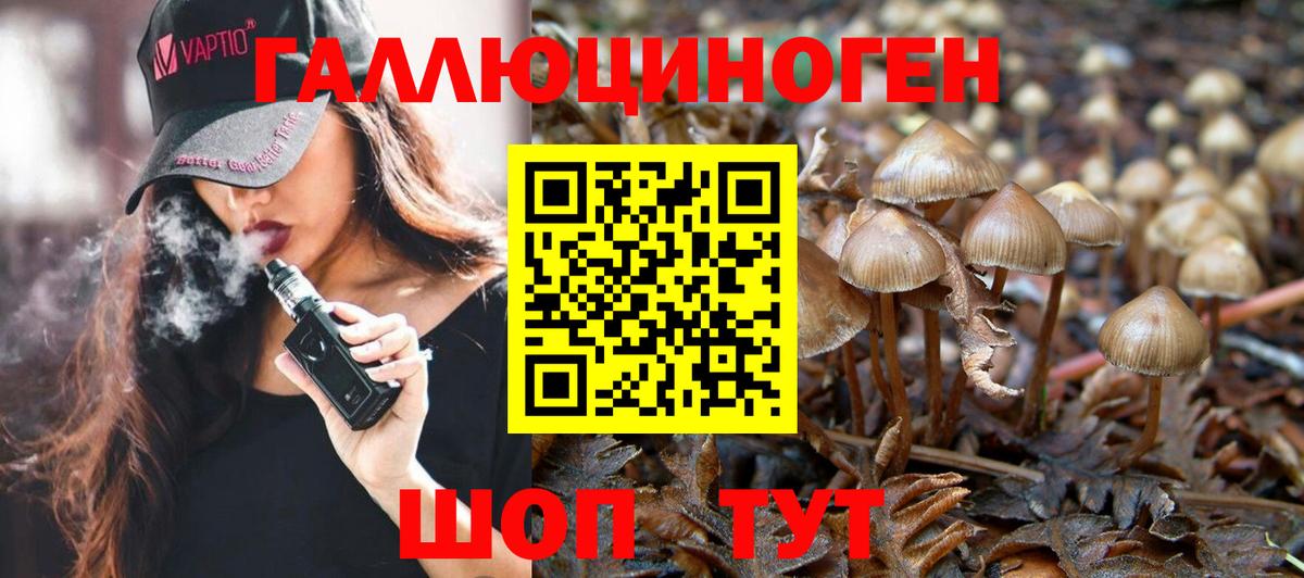 Галлюциногенные грибы MAGIC MUSHROOMS Назрань
