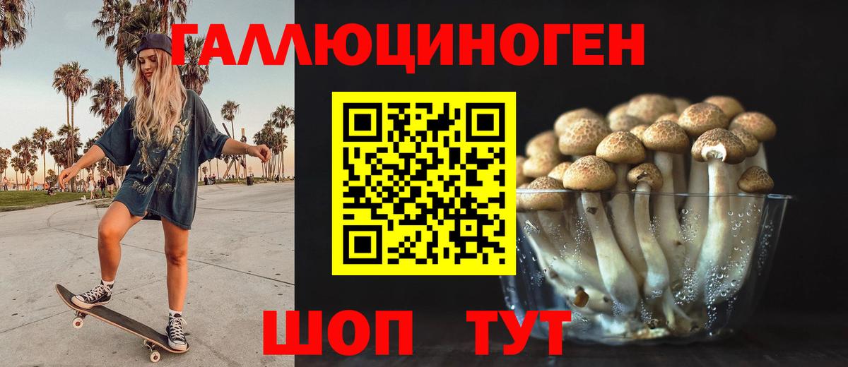 Галлюциногенные грибы мицелий  Вход с VPN  Назрань 